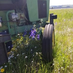 Meet your Posher, Debbie